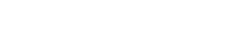 TZ Holdings LLC